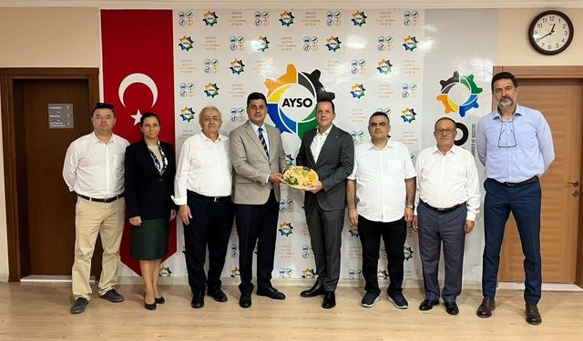 İncirde aflatoksine UV’li önlem