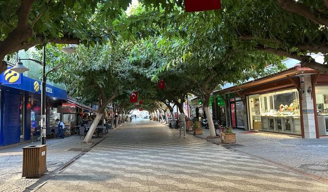 İncirliova’nın “Yeşil Tüneli”: Hem serinletiyor, hem de hayran bırakıyor