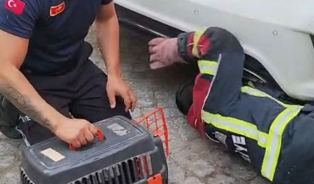 Kuşadası'nda itfaiye ekipleri kurtardı mahalleli yuva oldu