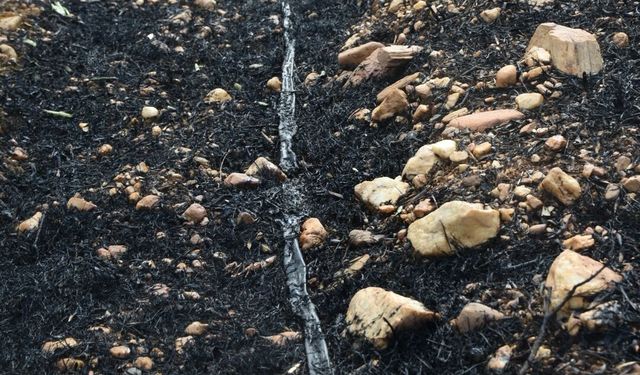 Karacasu'daki yangında bir ömürlük emek kül oldu