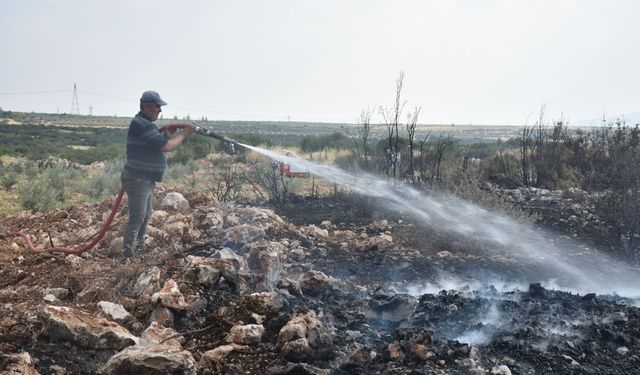Karacasu'da zirai alan yangını korkuttu: 10 dekar alan küle döndü