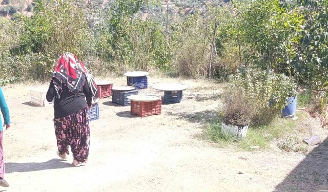 Köşk Başçayır’da geleneksel kışlık tarhana hazırlıkları başladı