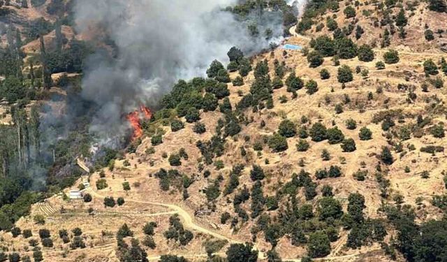 Kuyucak’ta orman yangını: 5 dekar kestanelik yandı