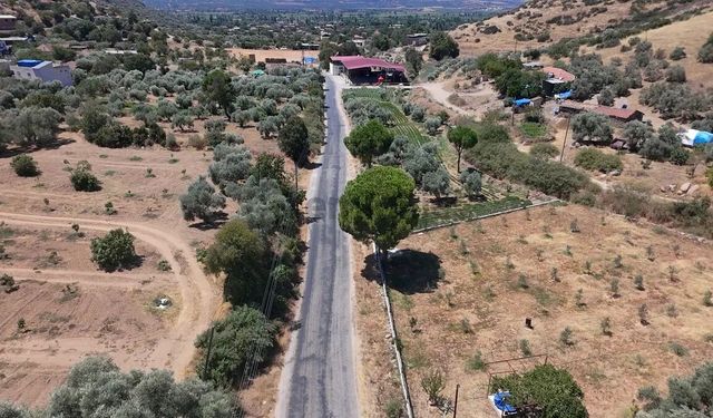 Nazilli'de tarihi yapı koruma altına alındı: Beğerli’de antik döneme ait oda mezarı tescillendi