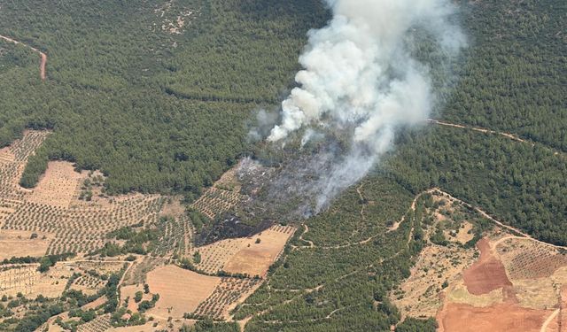 Sarıbaş, “Son alev sönene kadar mücadele sürecek”