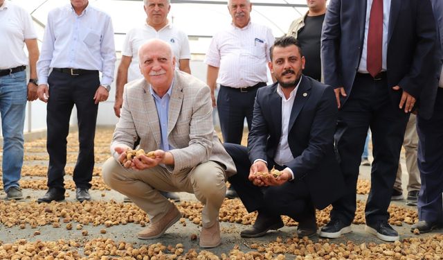 Germencik’te incir işçi ücretleri belirlendi