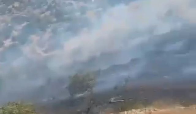 Nazilli yangın alarmı : Bağcıllı’ya çok sayıda ekip sevk edildi