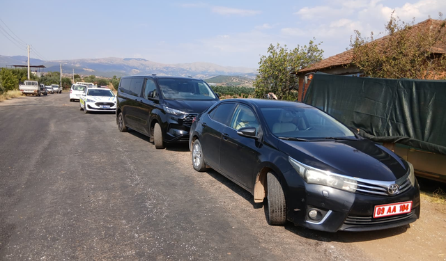 Karacasu'daki yangın kontrol altında:Protokol olay yerinde