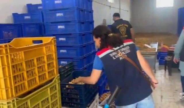 Aydın'da 20 milyon değerinde 25 ton etiketsiz kuru incir ele geçirildi
