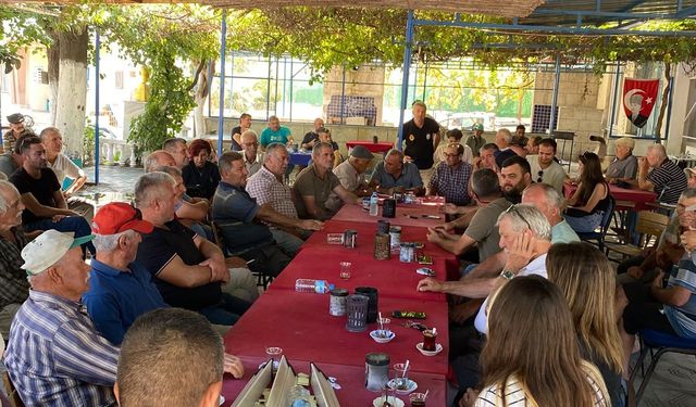 Zeytin fiyatına tepki: Akköy’de 10 gün hasat yapılmayacak