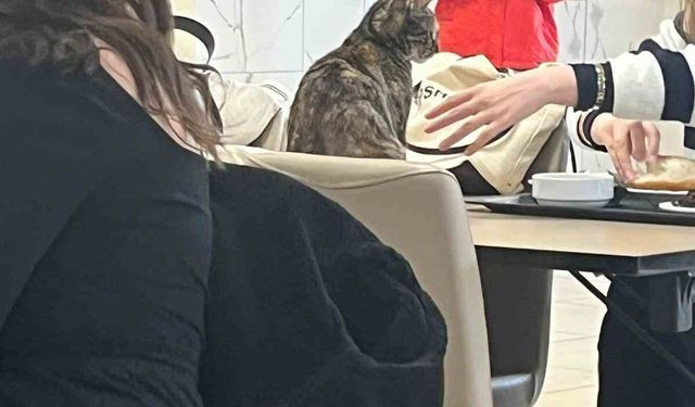 Aydın’da öğrenci yurdunda tepki çeken görüntüler!