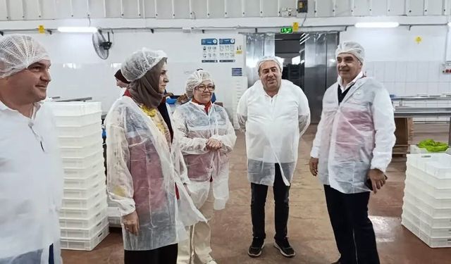 Aydın’ın sarı altını incir için denetimler sıklaştırıldı