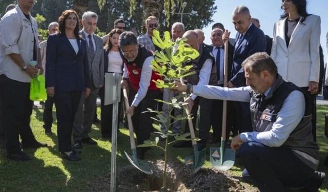 Aydın’daki saksılı fidan görüntüsünün faturası kesildi