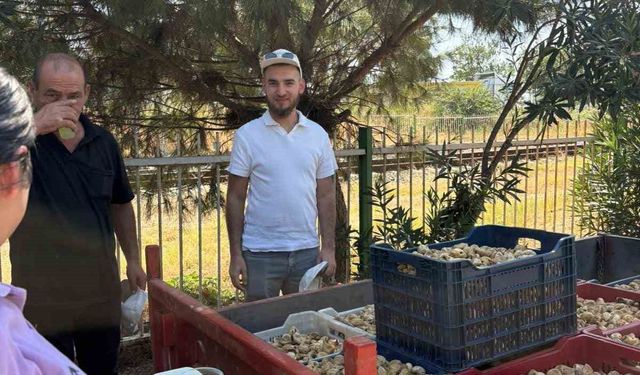 Başkan Zencirci, incir üreticilerini yalnız bırakmadı