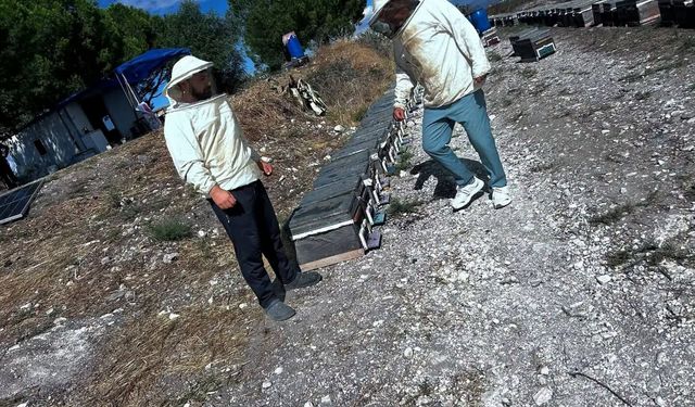 Didim’de bal üretiminde saha çalışması yapıldı