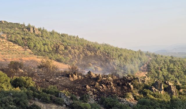 Karacasu - Bozdoğan sınırında orman yangını: 5 helikopterle müdahale edildi