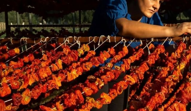 Nazilli’nin biberleri UNESCO’da