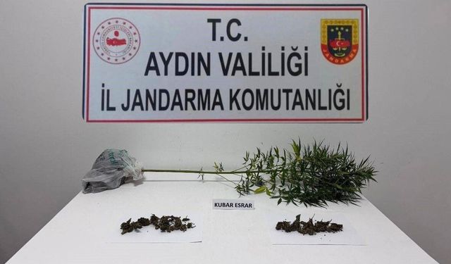 Söke’de jandarmadan zehir operasyonu