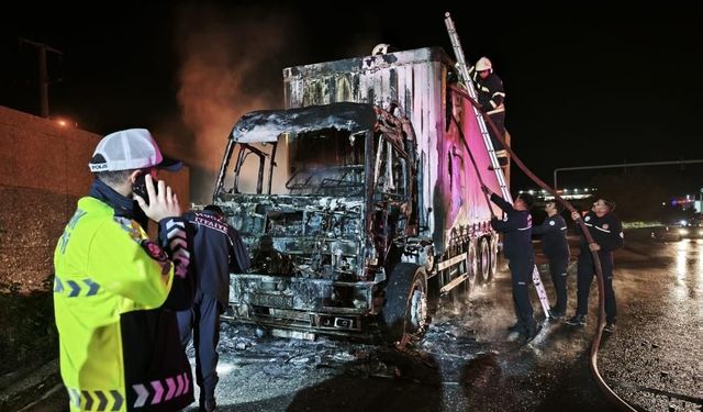 Aydın yolunda korkunç anlar: Alevlere teslim oldu