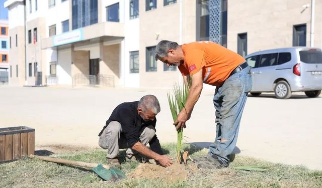 İncirliova'da özel eğitim okulunun bahçesi yeşillendi