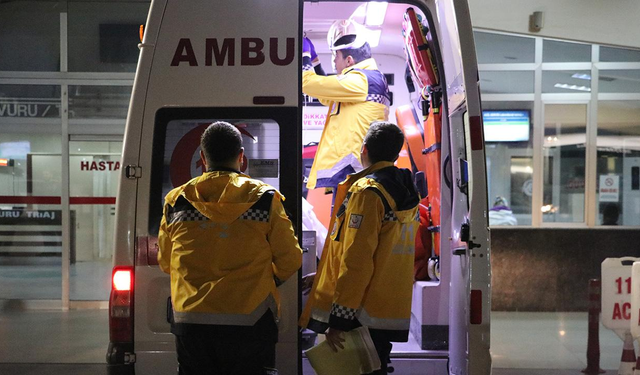 Karacasu'da bir kişi ceviz ağacından düştü: Ekipler olay yerine ulaşmakta zorlandı
