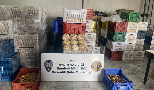 Aydın’da gıda denetiminde milyonluk bilanço! Tonlarca ürüne el konuldu