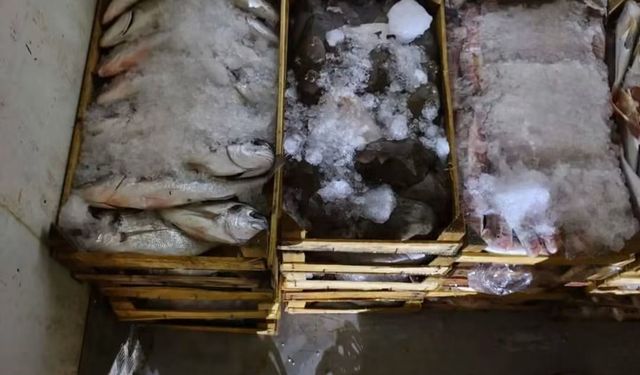 Didim'de Su ürünleri nakil vasıtalarına sıkı denetim