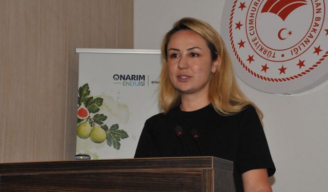 Enerjisa Üretim'den Aydın incirine doping
