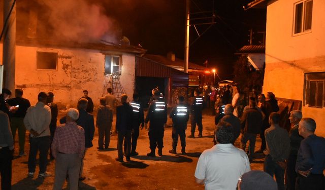 Karacasu'daki yangında Baba Çınar’dan da acı haber geldi