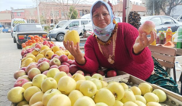 Karacasu'da elma yarışması düzenlendi: Başarının sırrını anlattı