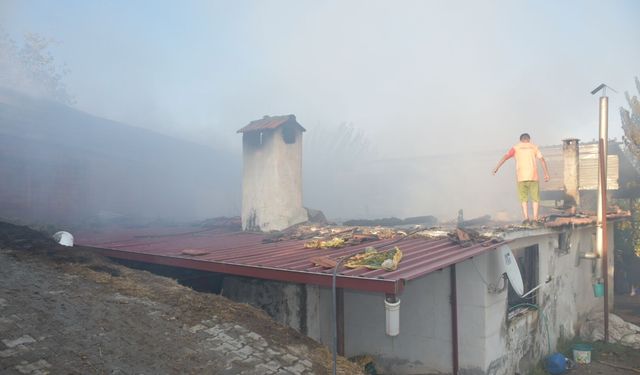 Karacasu'daki yangının zarar bilançosu belli oldu