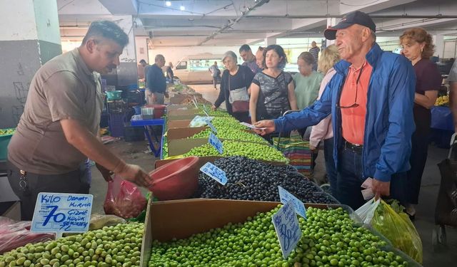 Kuşadası'nda zeytin hasadı sancılı başladı:Pazarda bereket ,tarlada dert var