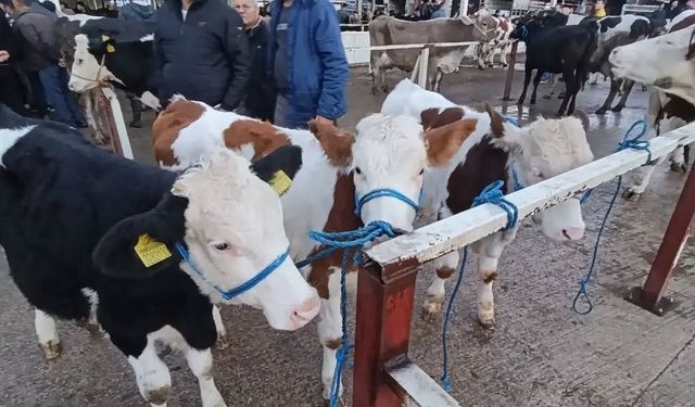 Nazilli'de belgesiz girişe izin yok!