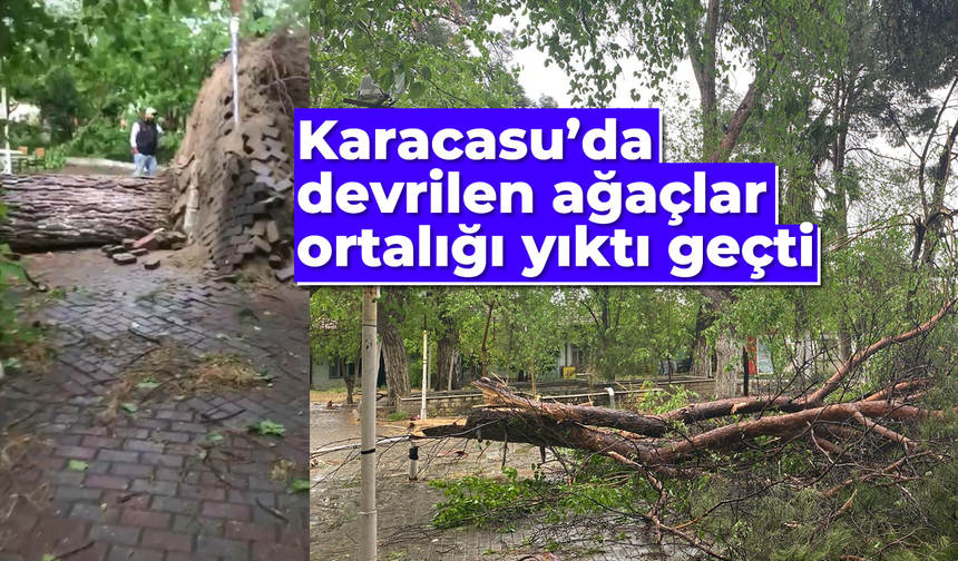 Karacasu'da devrilen ağaçlar ortalığı yıktı geçti