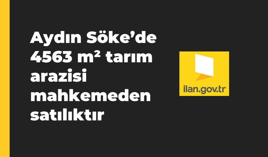 Aydın Söke'de 4563 m² tarım arazisi mahkemeden satılıktır