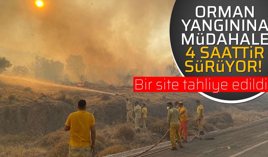 Orman yangınına müdahale 4 saattir sürüyor! Bir site tahliye edildi