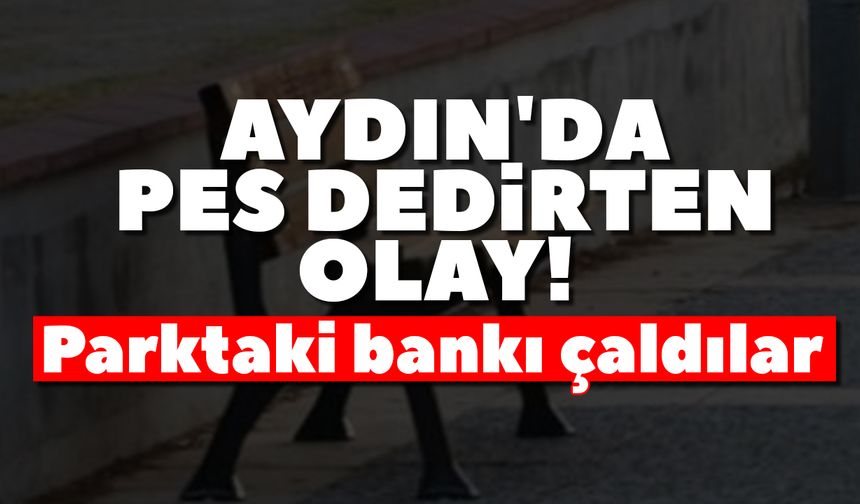 Aydın'da pes dedirten olay! Parktaki bankı çaldılar