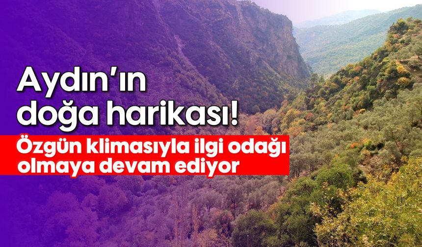 Aydın’ın doğa harikası! Özgün klimasıyla ilgi odağı olmaya devam ediyor