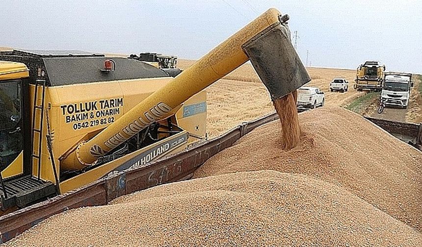 Güncel Hububat Fiyatları (6 Temmuz 2024):
Ekmeklik buğday: 9,52 TL/kg
Makarnalık buğday: 10,45 TL/kg
Mısır: 8,53 TL/kg
Arpa: 7,80 TL/kg