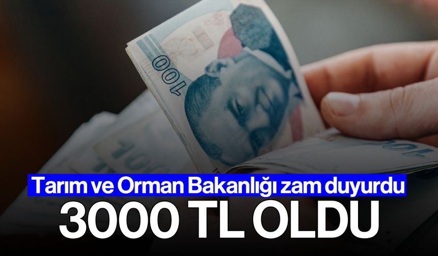 Tarım ve Orman Bakanlığı zam duyurdu: 3000 TL oldu!