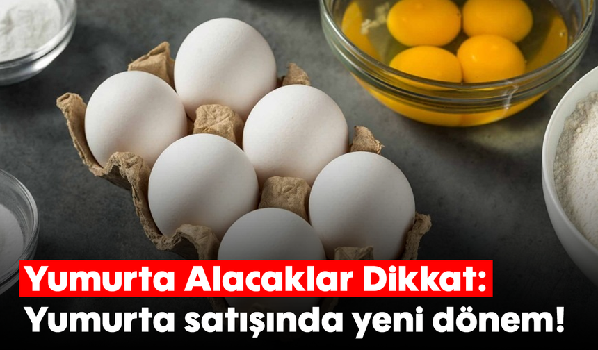 Yumurta Alacaklar Dikkat: Yumurta satışında yeni dönem!