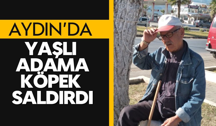 Aydın'da yaşlı adama köpekler saldırdı