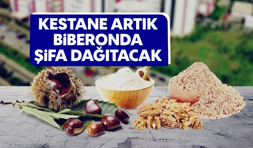 Kestane, artık biberonda şifa dağıtacak