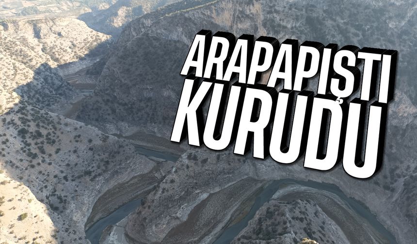 Arapapıştı kurudu