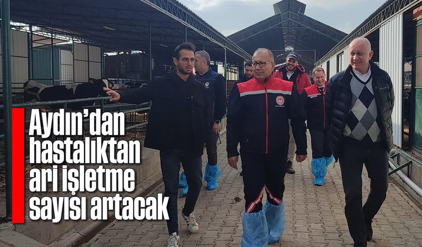 Aydın’dan hastalıktan ari işletme sayısı artacak