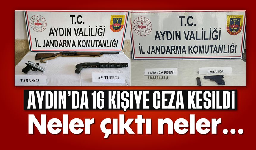 Aydın'da 16 kişiye ceza kesildi