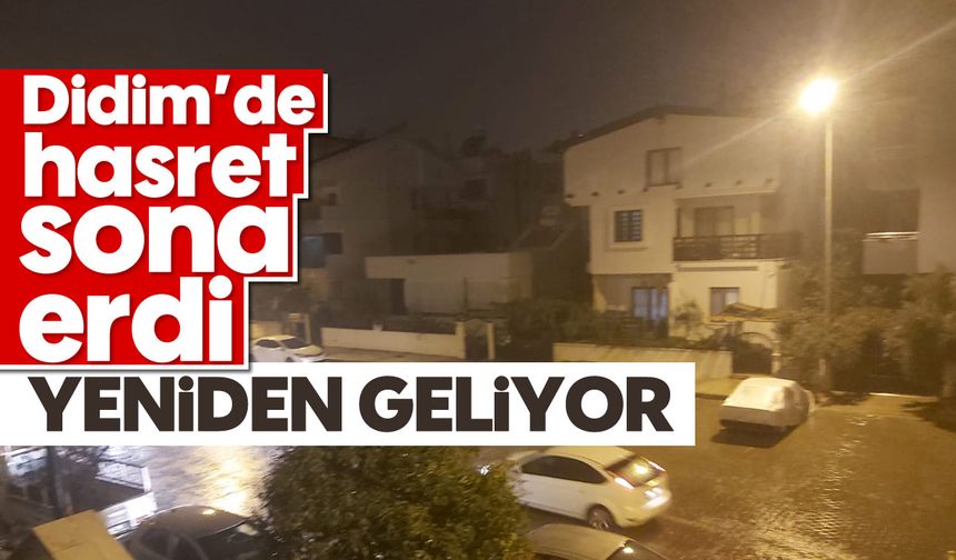 Didim'de hasret sona erdi: Yeniden geliyor