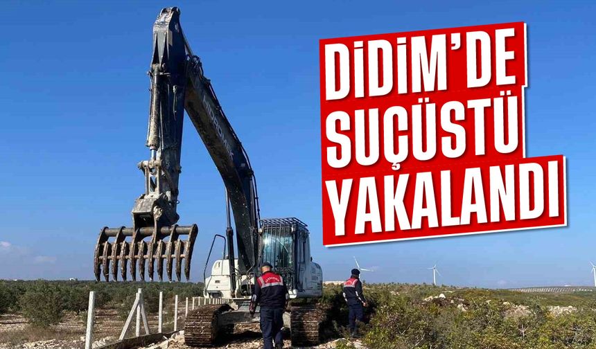 Didim'de suçüstü yakalandı