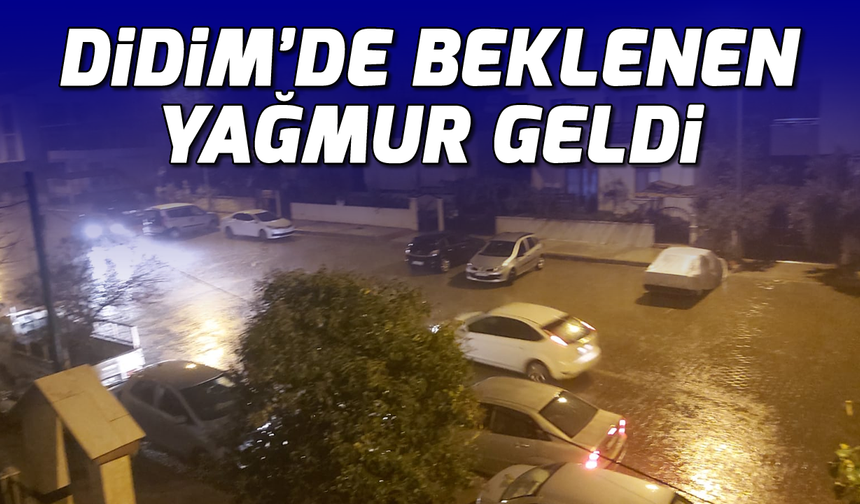 Didim'de beklenen yağmur geldi