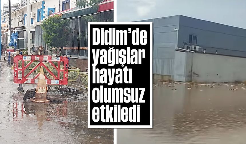 Didim'de yağışlar hayatı olumsuz etkiledi